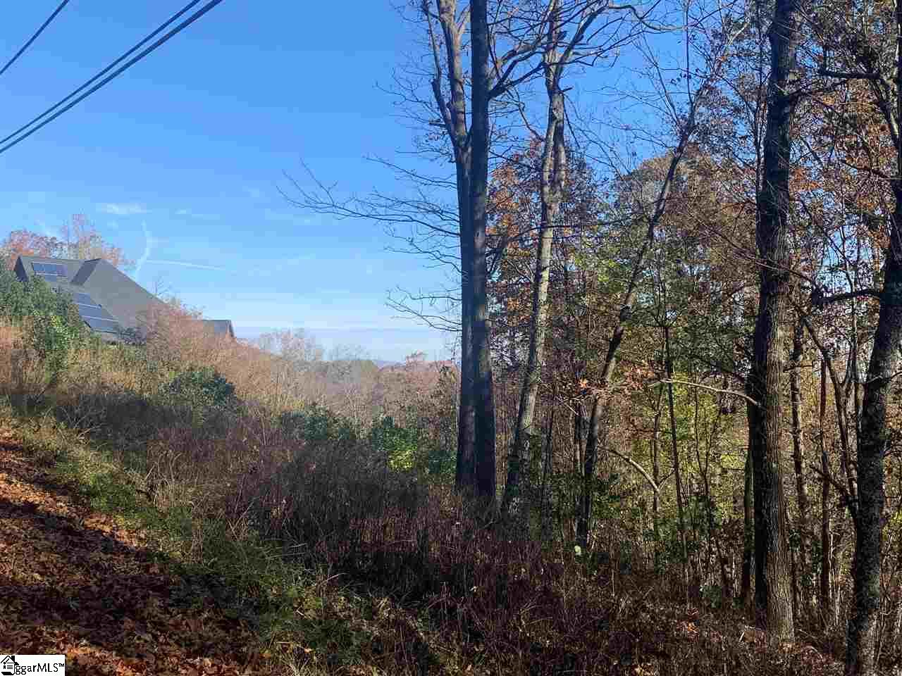 980 Altamont Road, Unit TRACT B Greenville, SC 29609 - Photo 21 of 22