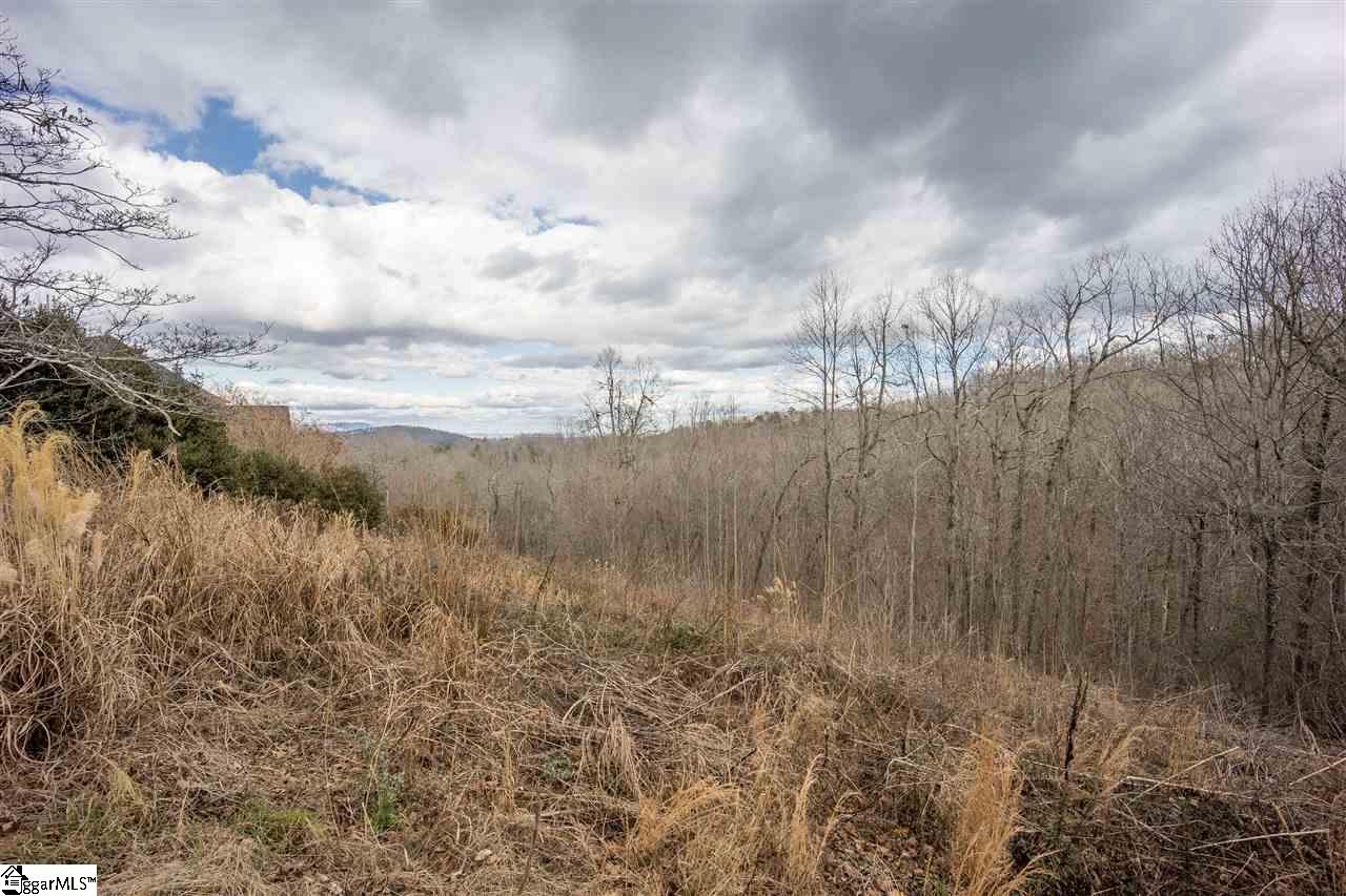 980 Altamont Road, Unit TRACT B Greenville, SC 29609 - Photo 8 of 22