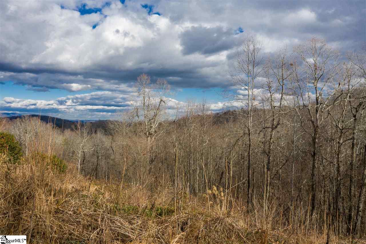 980 Altamont Road, Unit TRACT B Greenville, SC 29609 - Photo 9 of 22