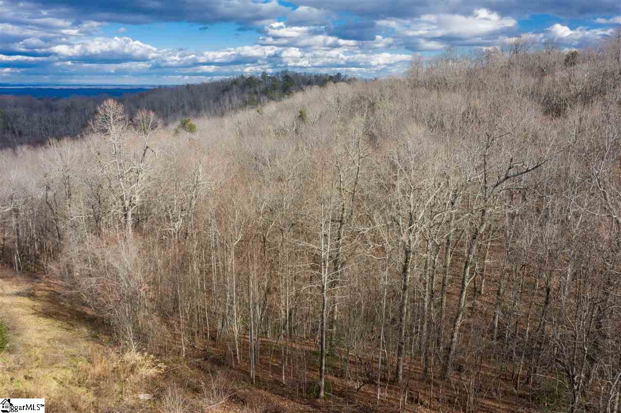 980 Altamont Road, Unit TRACT B Greenville, SC 29609 - Photo 10 of 22