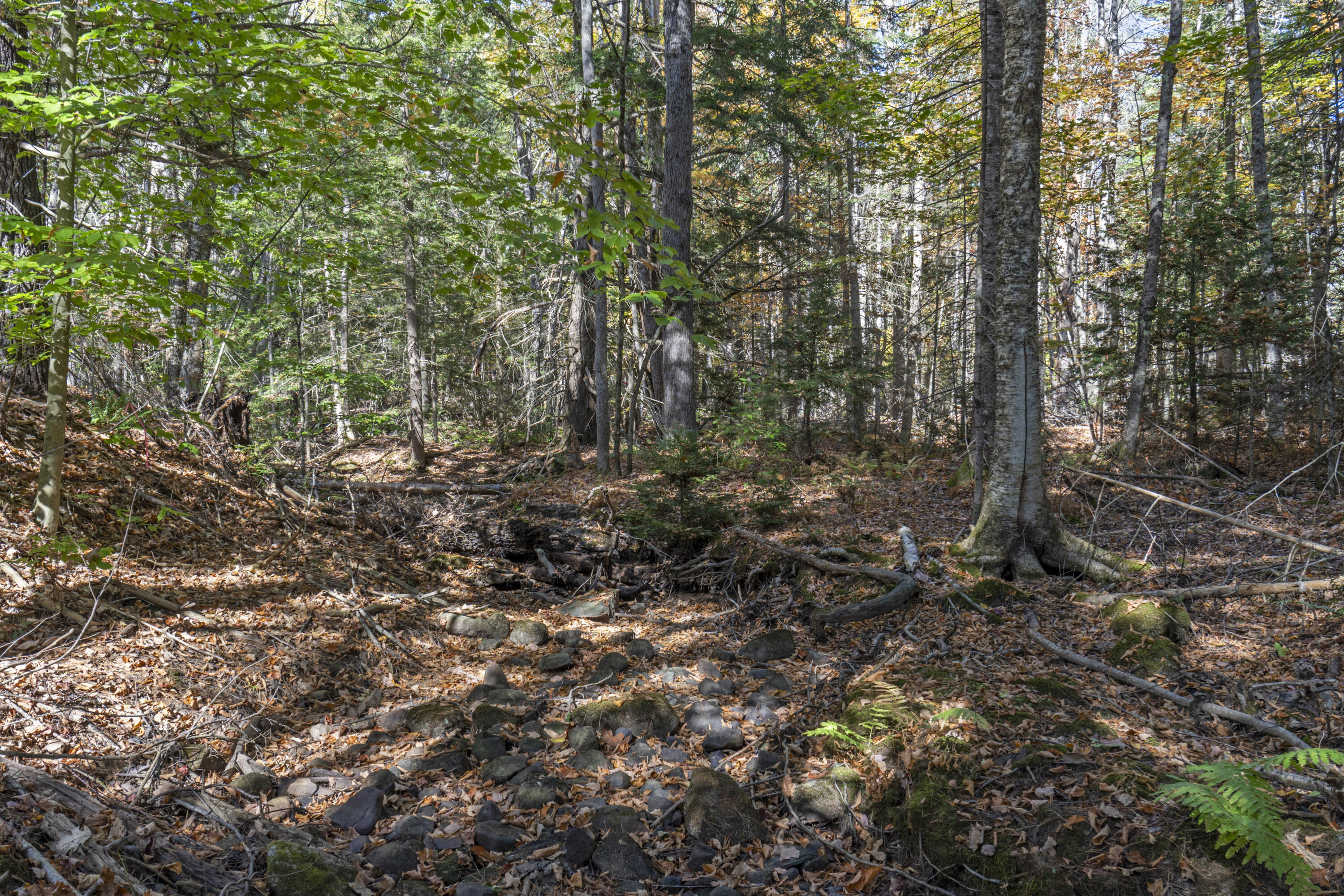 215 Ward Road Topsham, ME 04086 - Photo 9 of 32 Land photos
