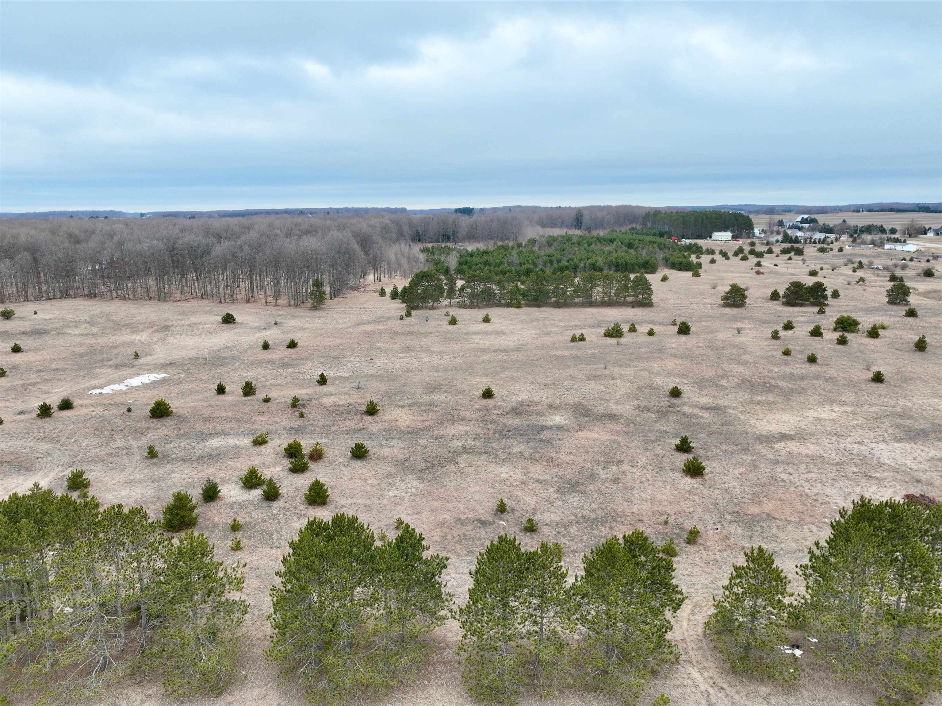 Schichtel Road, Unit A2 Kingsley, MI 49649 - Photo 7 of 12