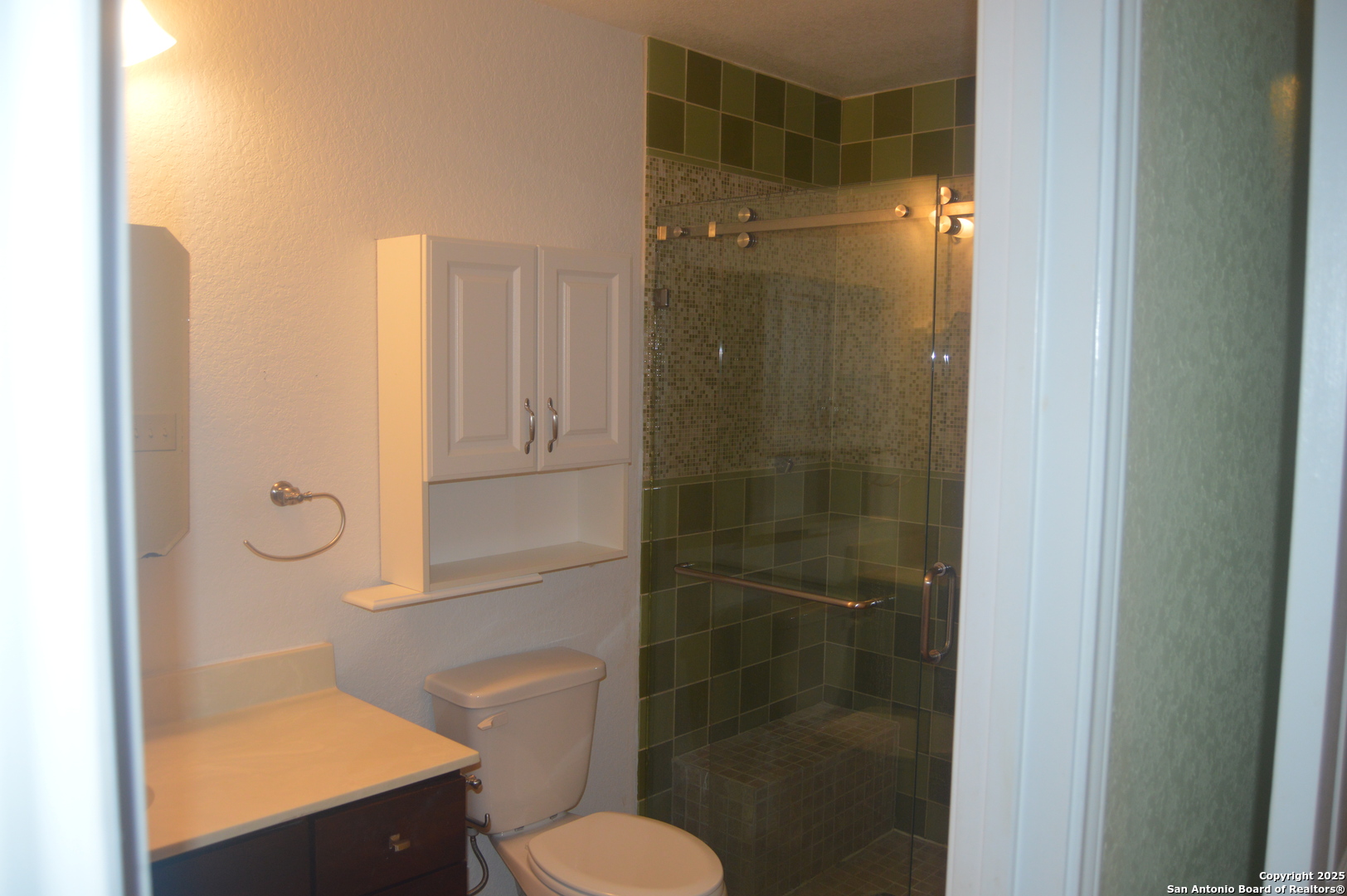 14847 Lytle Somerset Street Lytle, TX 78052 - Photo 34 of 42 a bathroom with a shower and toilet