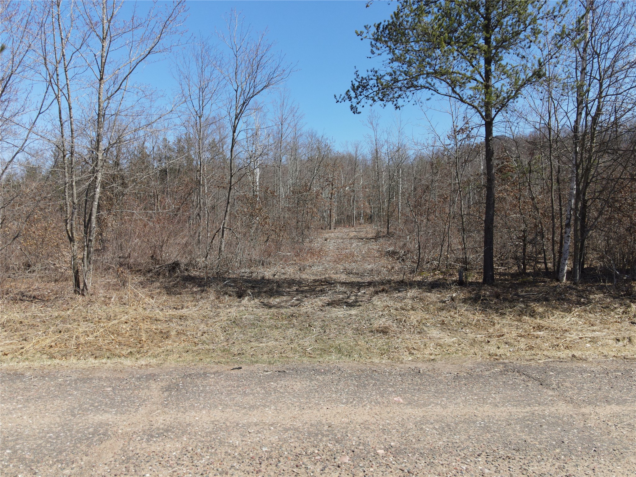 0 810th Street Ridgeland, WI 54763 - Photo 1 of 8