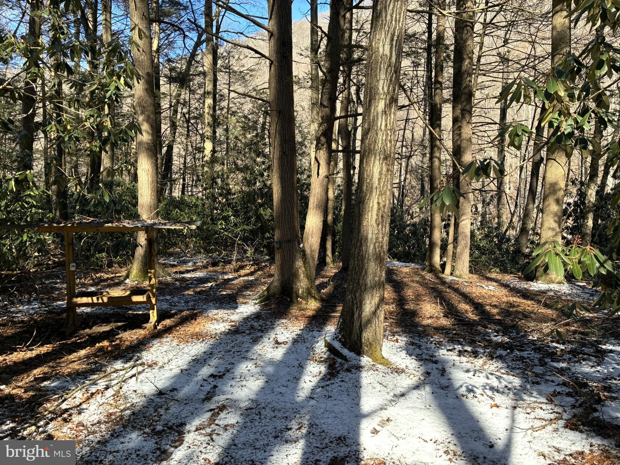 1822 Monument Orviston Road Beech Creek, PA 16822 - Photo 14 of 28 a view of a forest with trees