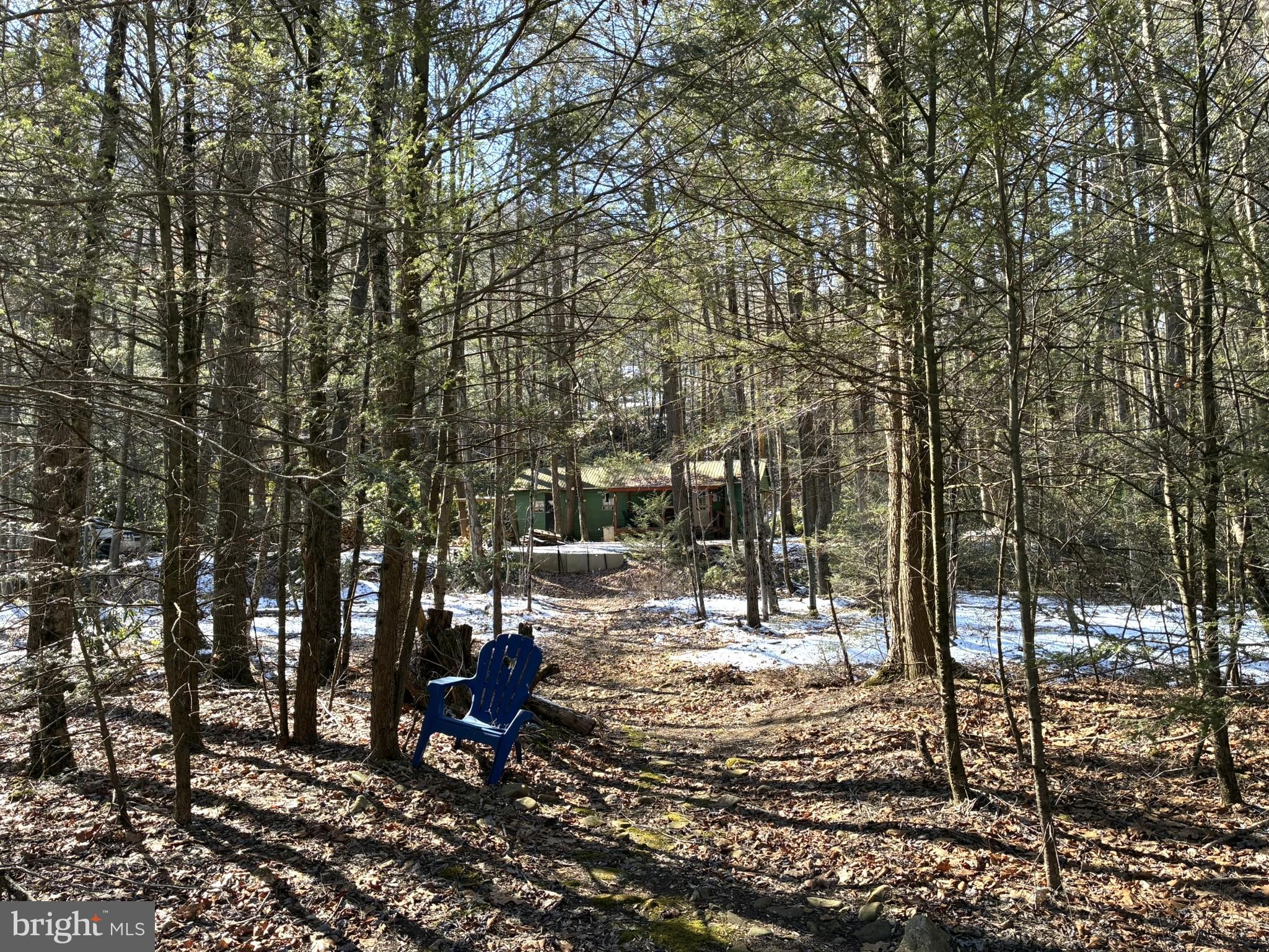 1822 Monument Orviston Road Beech Creek, PA 16822 - Photo 5 of 28 a view of a park with large trees