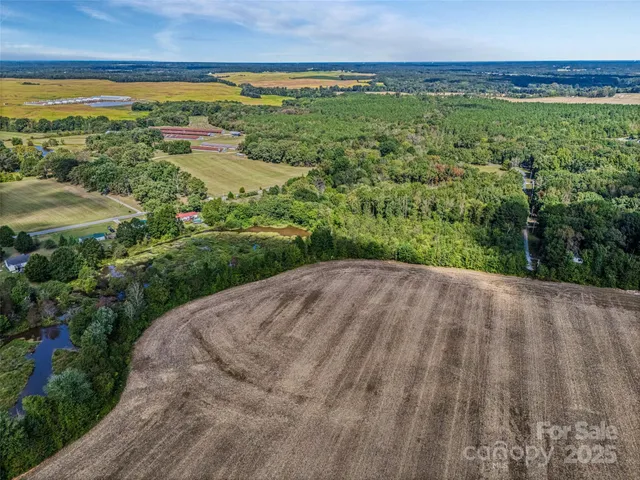 a view of a garden with a pathway