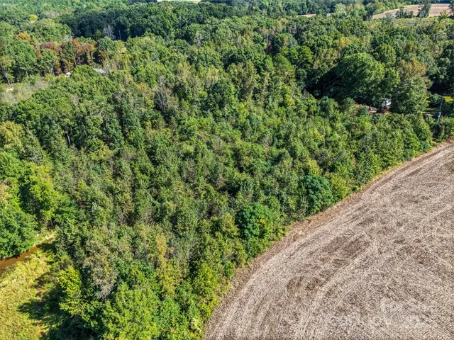 a view of a yard with plants and wooden fence
