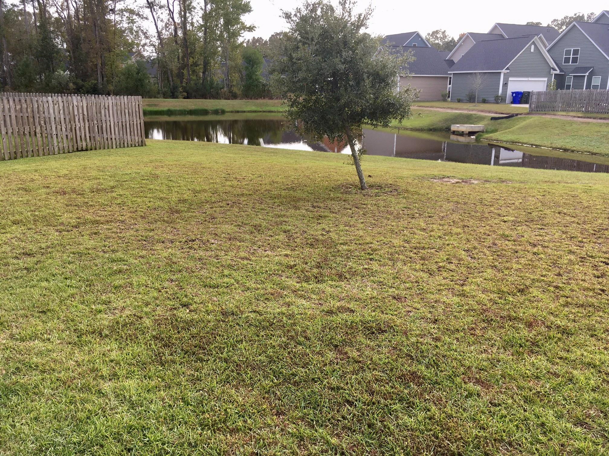 1401 Roustabout Way Charleston, SC 29414 - Photo 21 of 22 IMG_0715