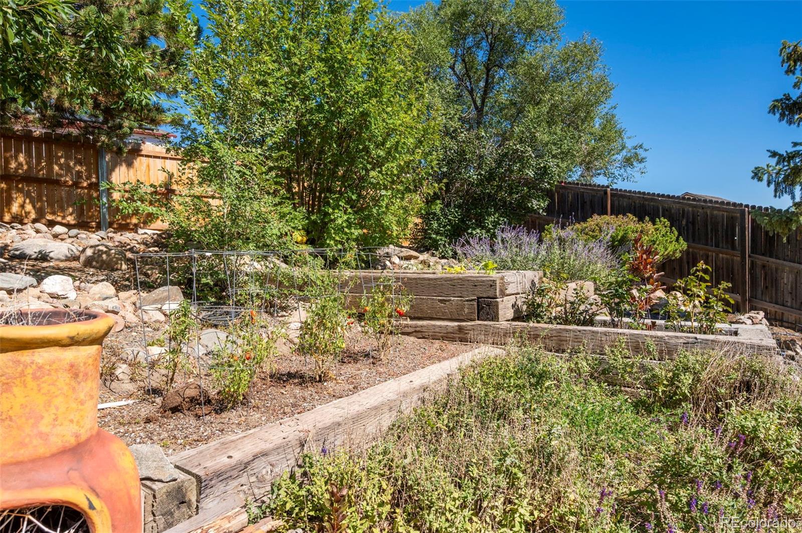 4420 South Vivian Way Morrison, CO 80465 - Photo 40 of 50 a view of back yard of the house and cars parked