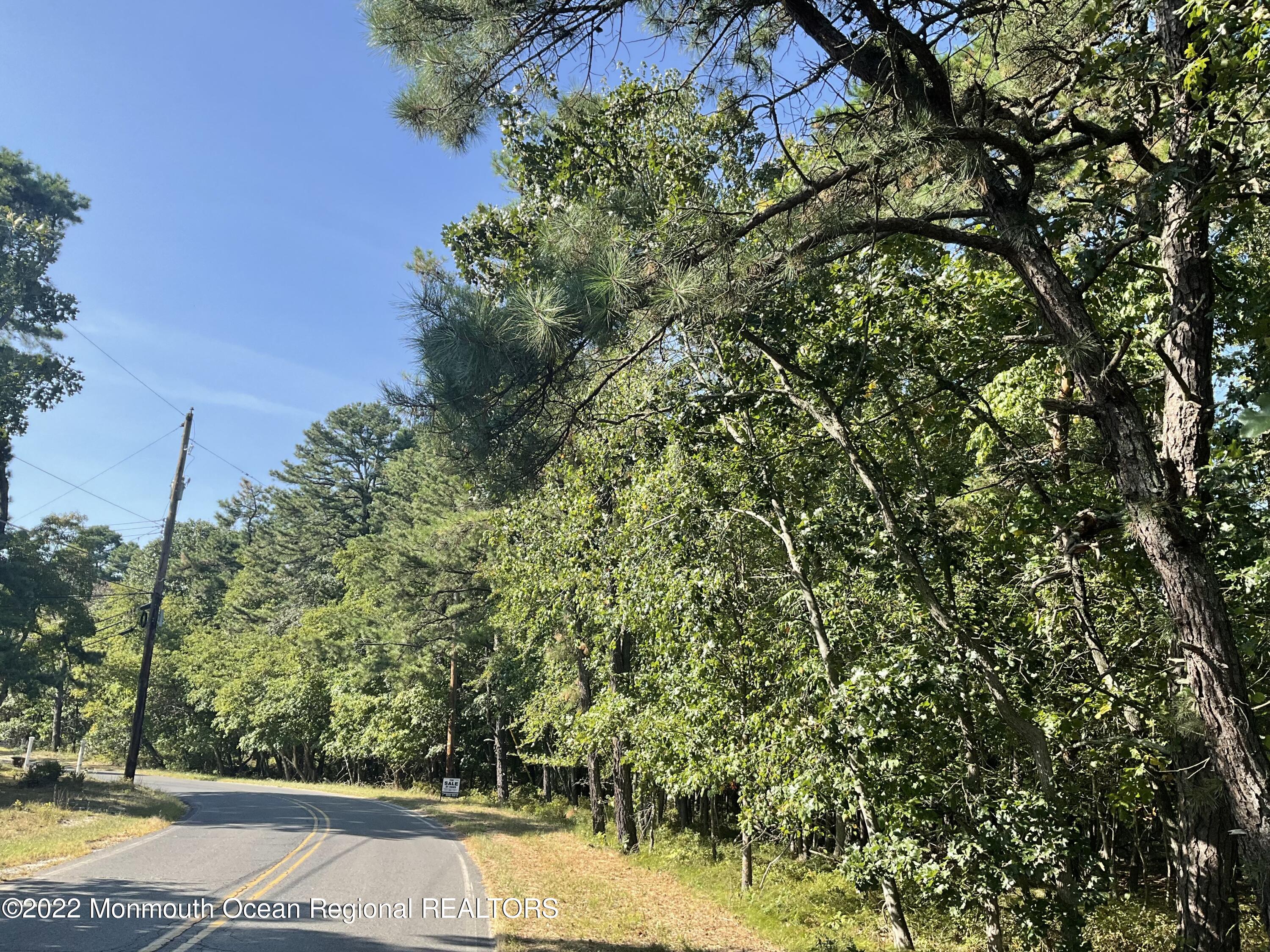 0 Ridge Road Browns Mills, NJ 08015 - Photo 2 of 4 a view of a yard with plants and large trees