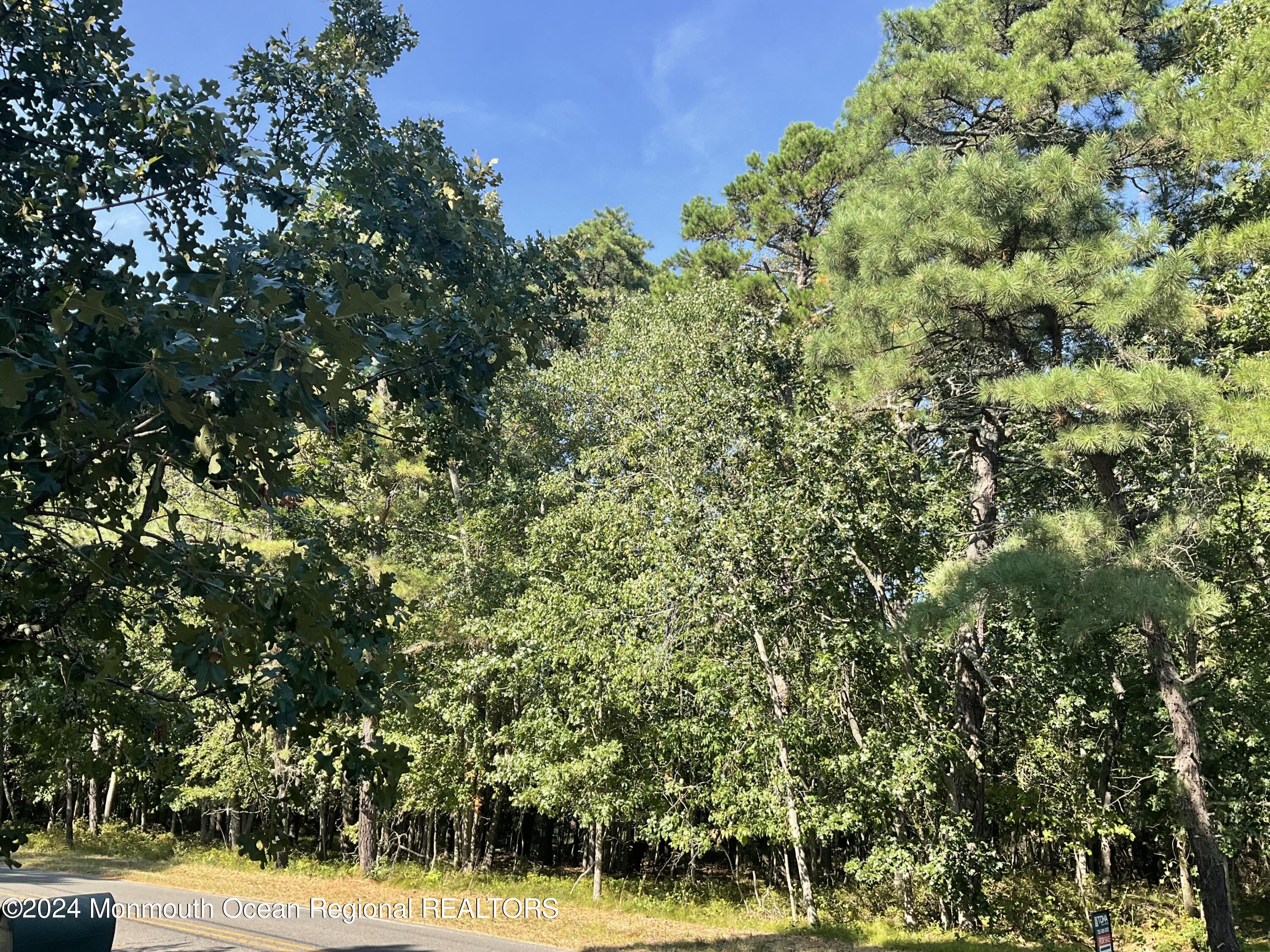 0 Ridge Road Browns Mills, NJ 08015 - Photo 4 of 4 a view of a yard