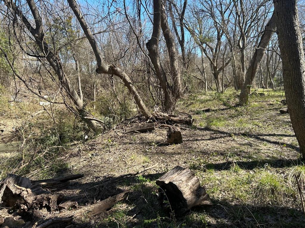 1 Hart Street Wilmer, TX 75172 - Photo 7 of 8 View of local wilderness