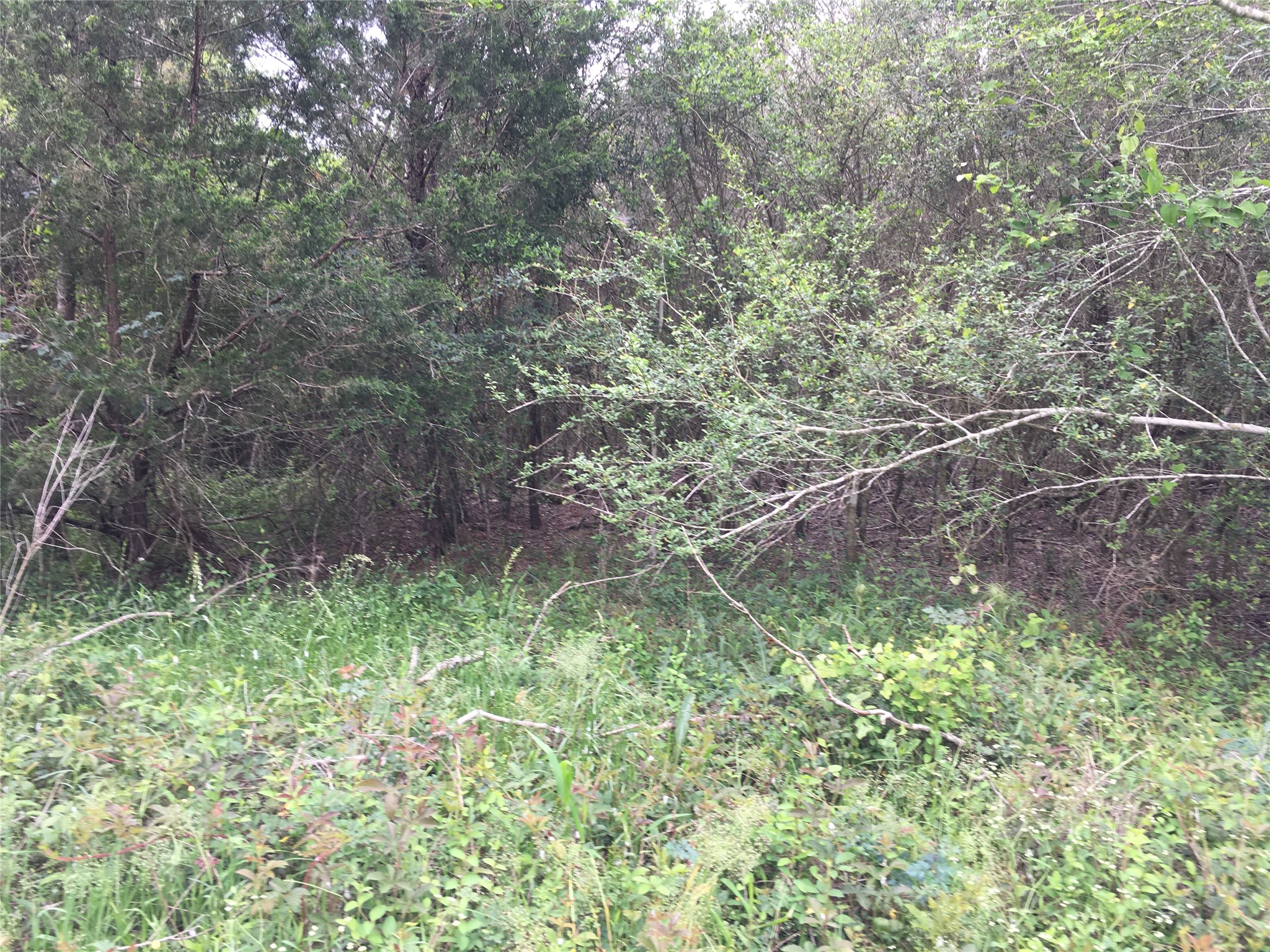 0 Donoho Street Hempstead, TX 77445 - Photo 2 of 7