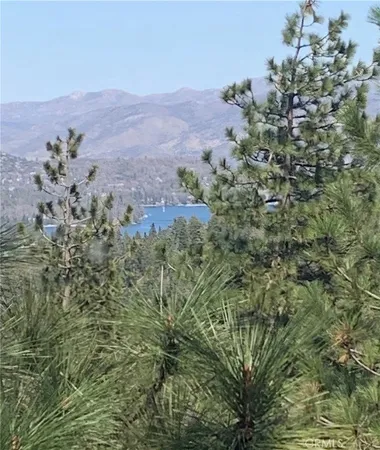 a view of a dry yard with mountains in the background