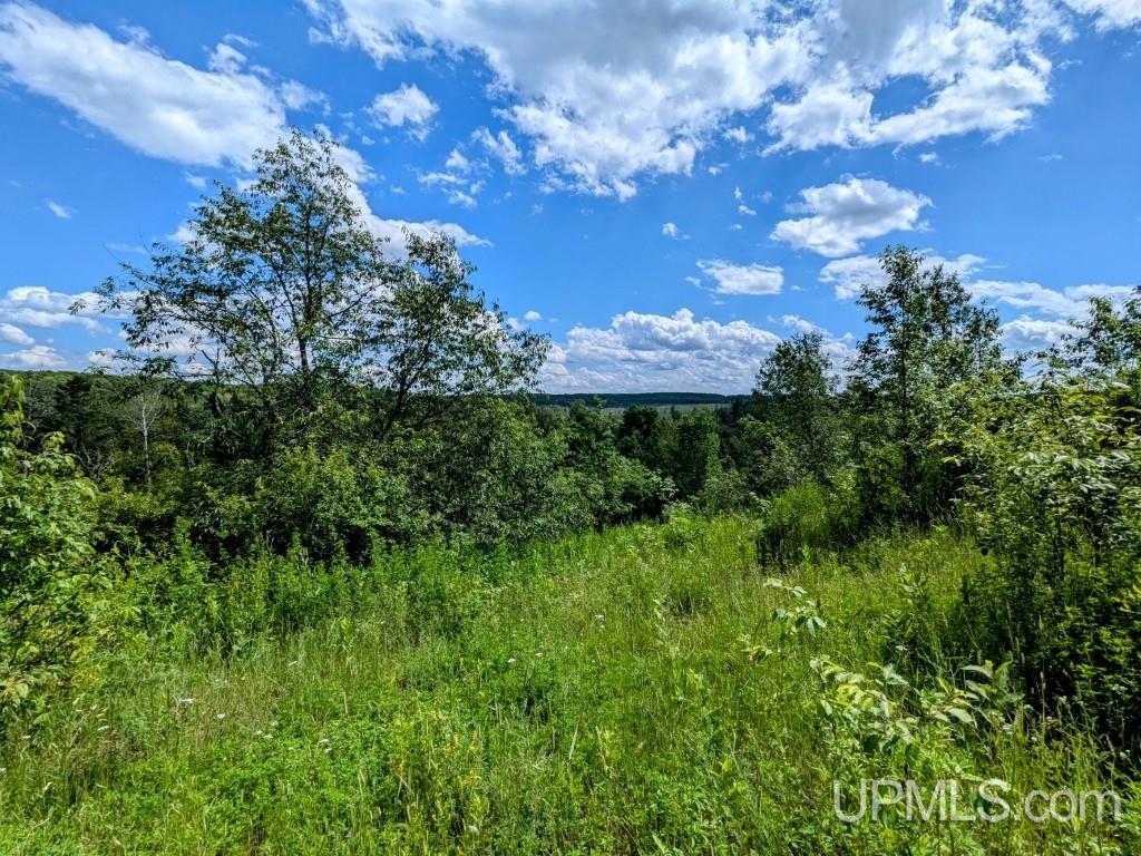 424 Rd Alpha Mi 49902 Road Alpha, MI 49902 - Photo 5 of 31