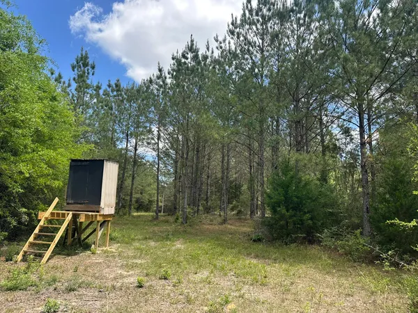 $2,280,400 | Tbd Tbd Gomillion Road, Florala, AL 36442