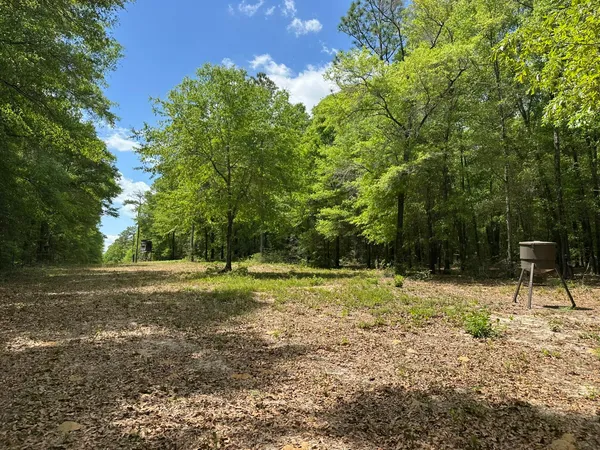 $2,280,400 | Tbd Tbd Gomillion Road, Florala, AL 36442