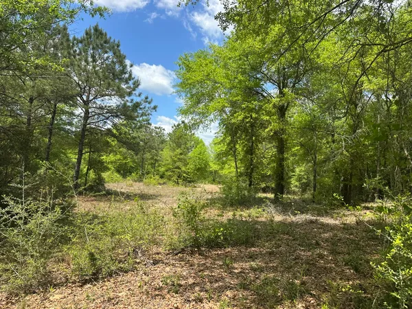 $2,280,400 | Tbd Tbd Gomillion Road, Florala, AL 36442