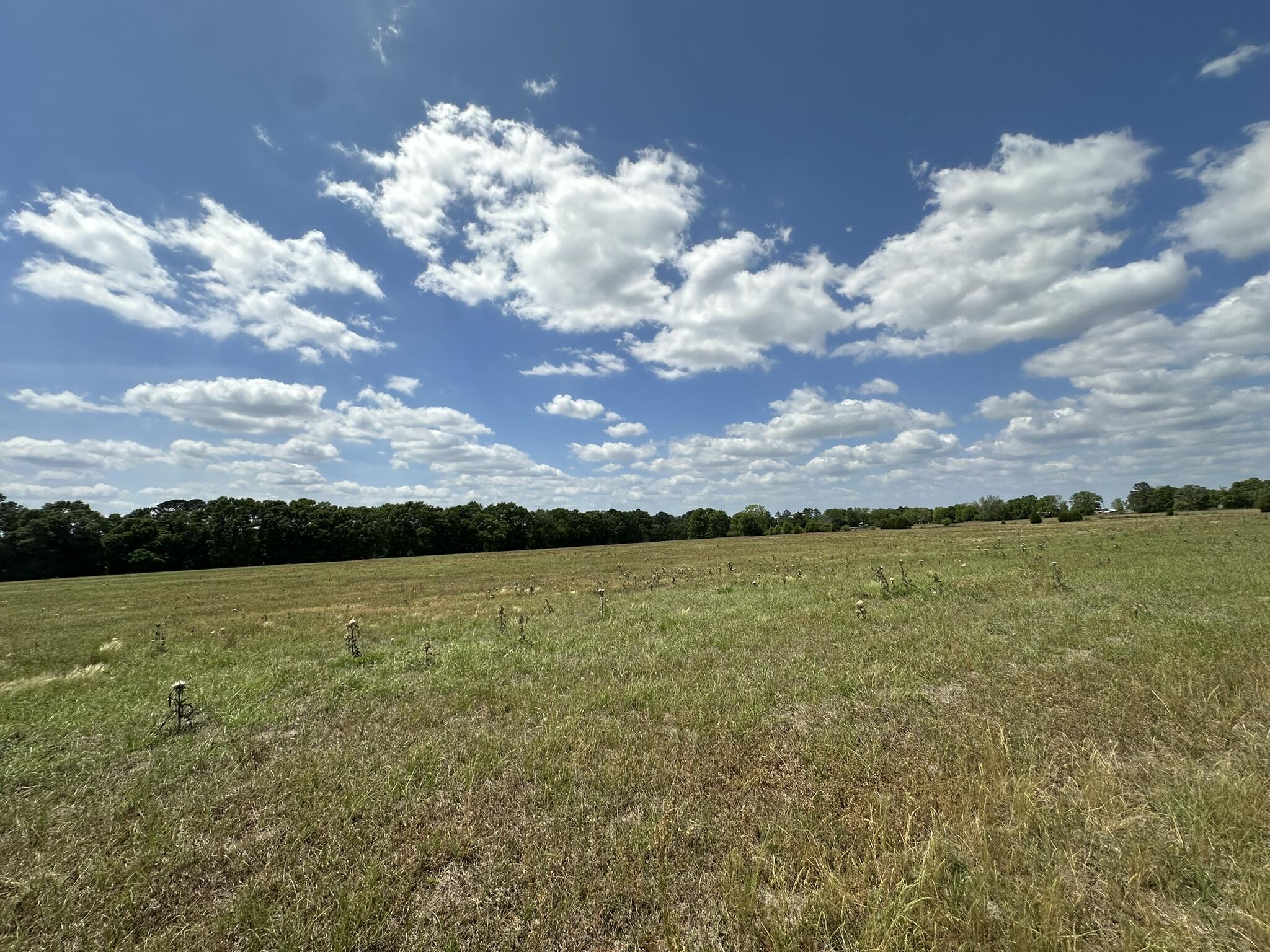Tbd Tbd Gomillion Road Florala, AL 36442 - Photo 9 of 18 IMG_8882