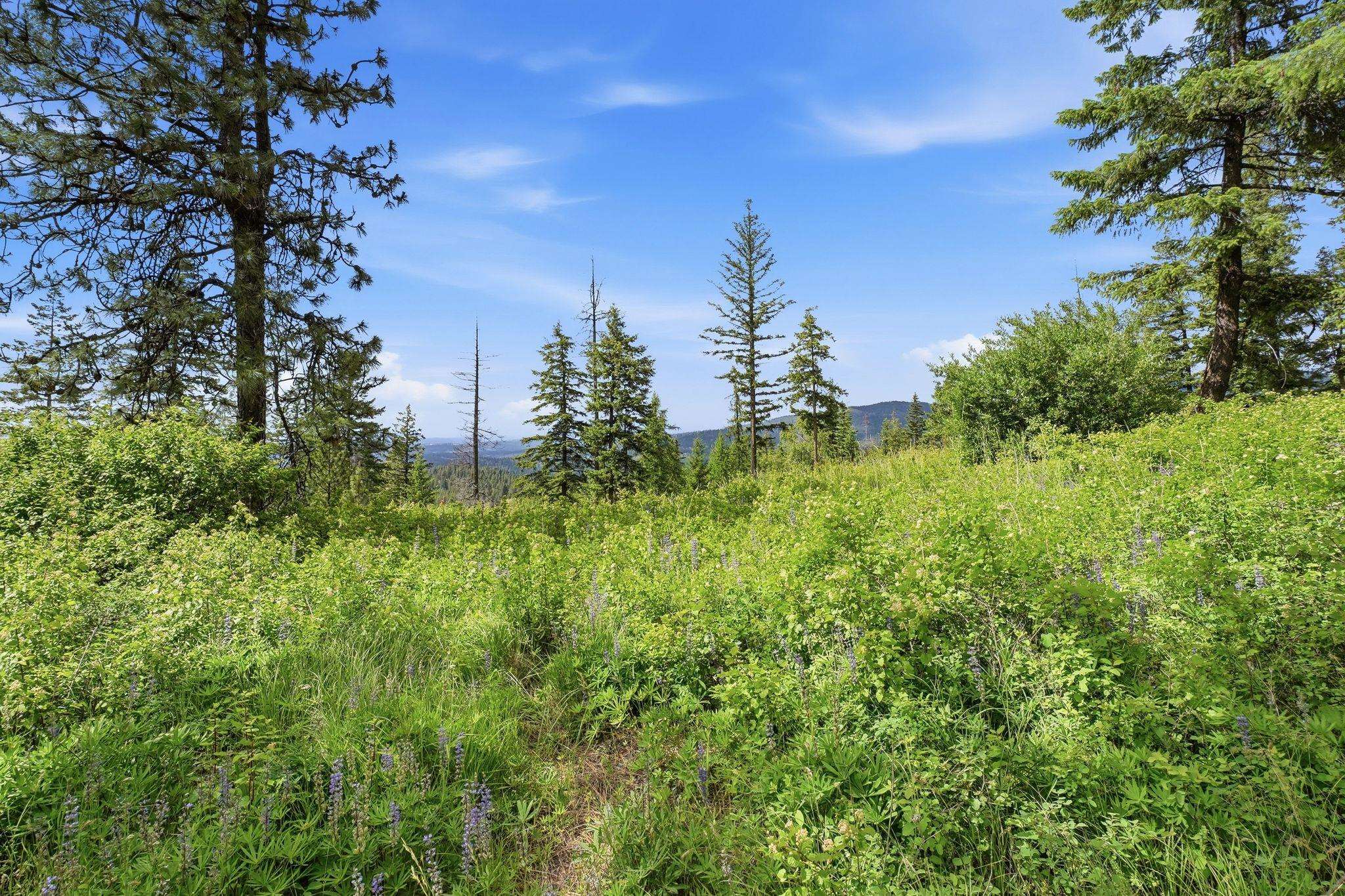 16301 North Scribner Branch Road Spokane, WA 99217 - Photo 17 of 28 Gallery Image 17