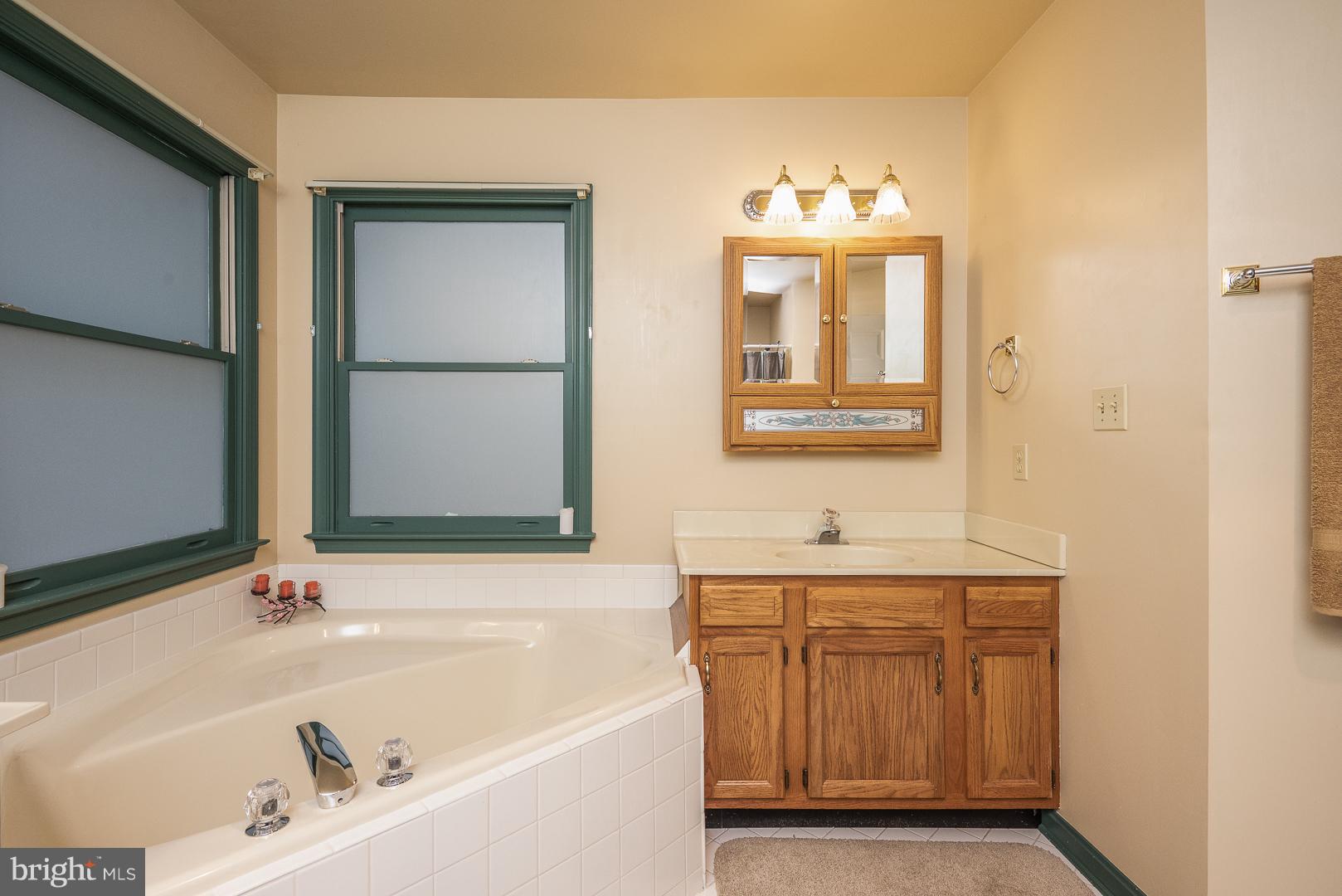 3 Cresthill Court Ruther Glen, VA 22546 - Photo 15 of 23 Bath (Master)