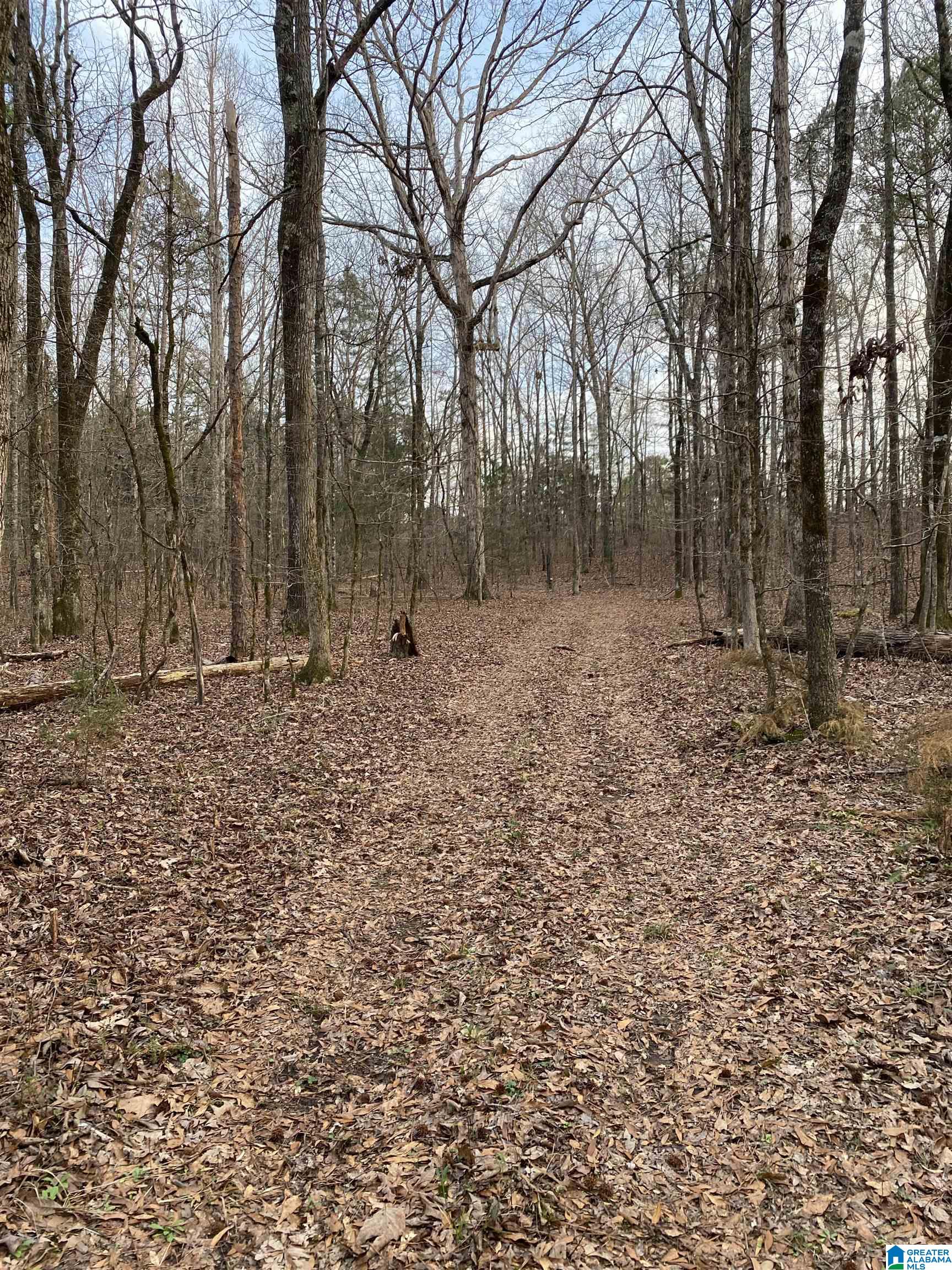 Bridlewood Farms Road, Unit 2 Montevallo, AL 35115 - Photo 18 of 25