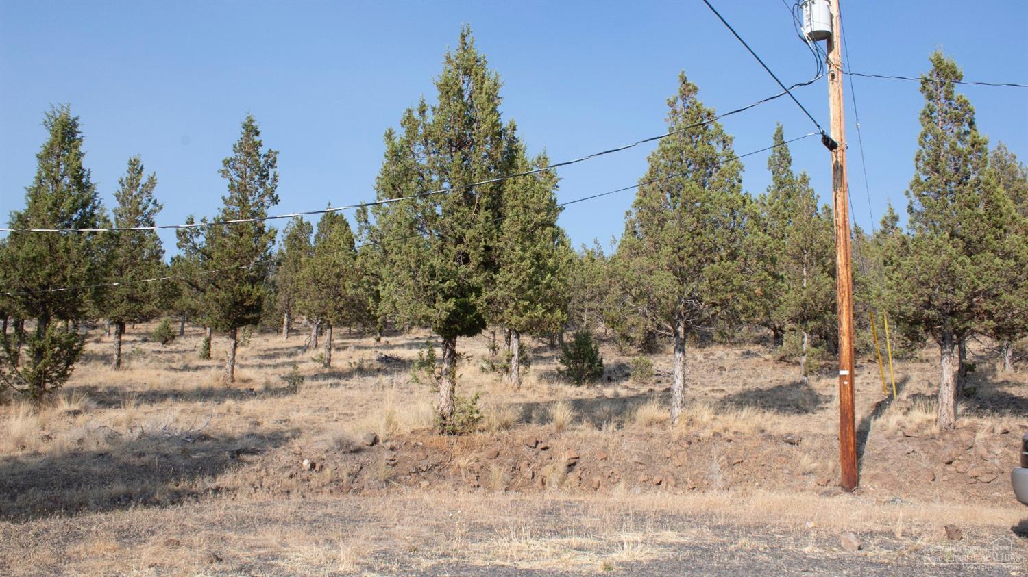 0 Southeast Grant Road Prineville, OR 97754 - Photo 9 of 9 Additional Photo