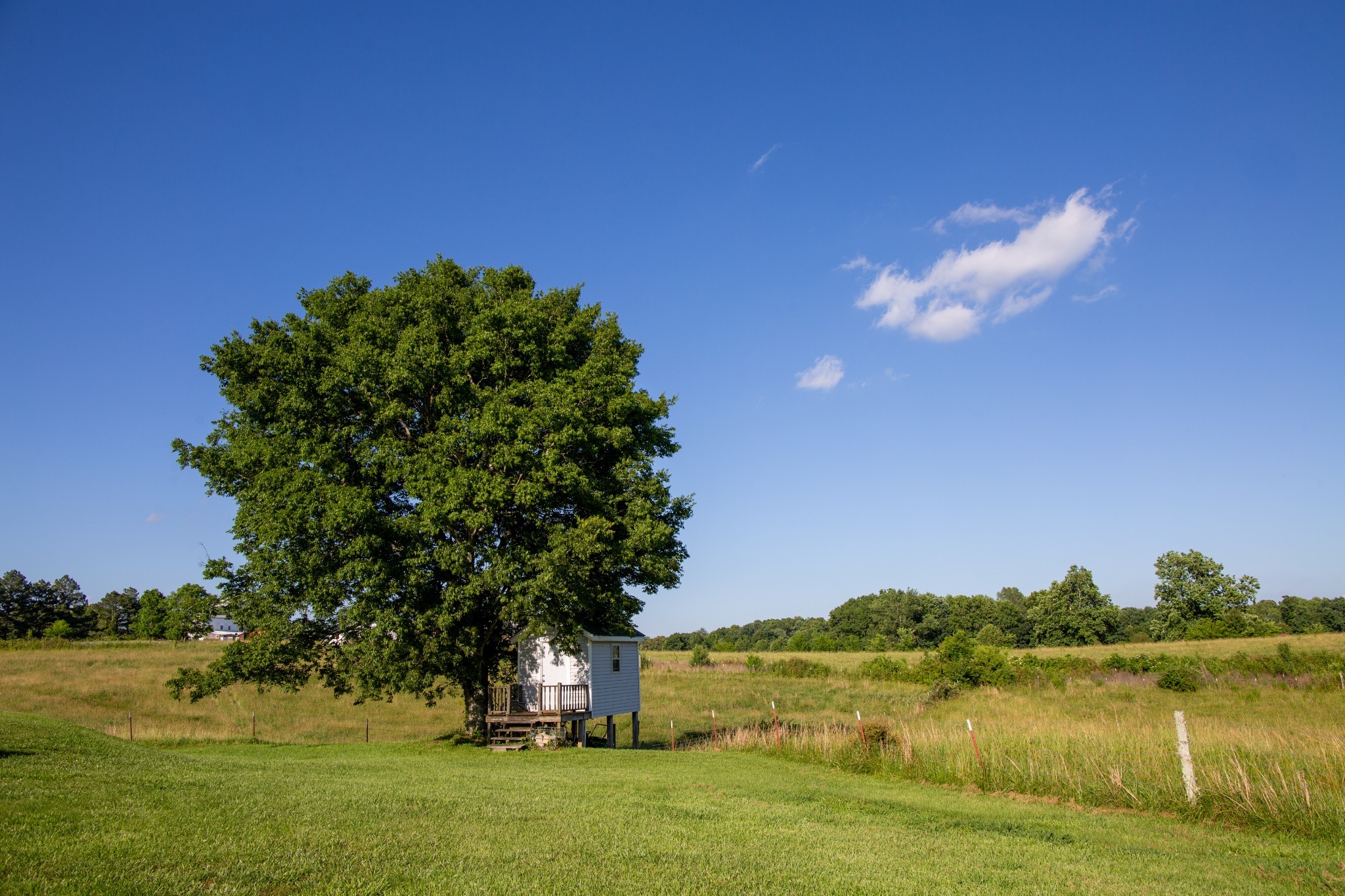 3894 Muckle Branch Road Ethridge, TN 38456 - Photo 61 of 64 Gallery Image 61