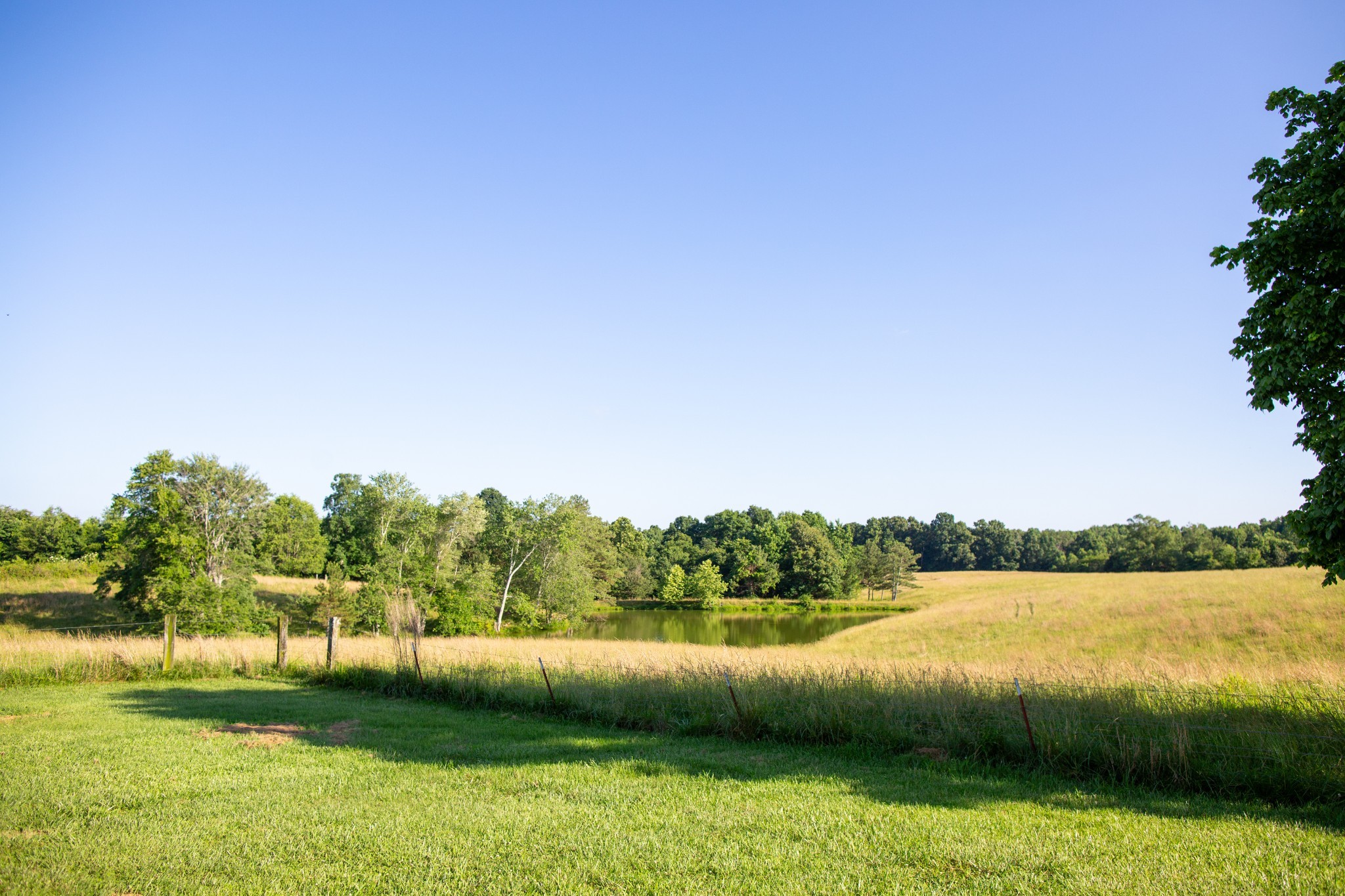 3894 Muckle Branch Road Ethridge, TN 38456 - Photo 63 of 64 Gallery Image 63