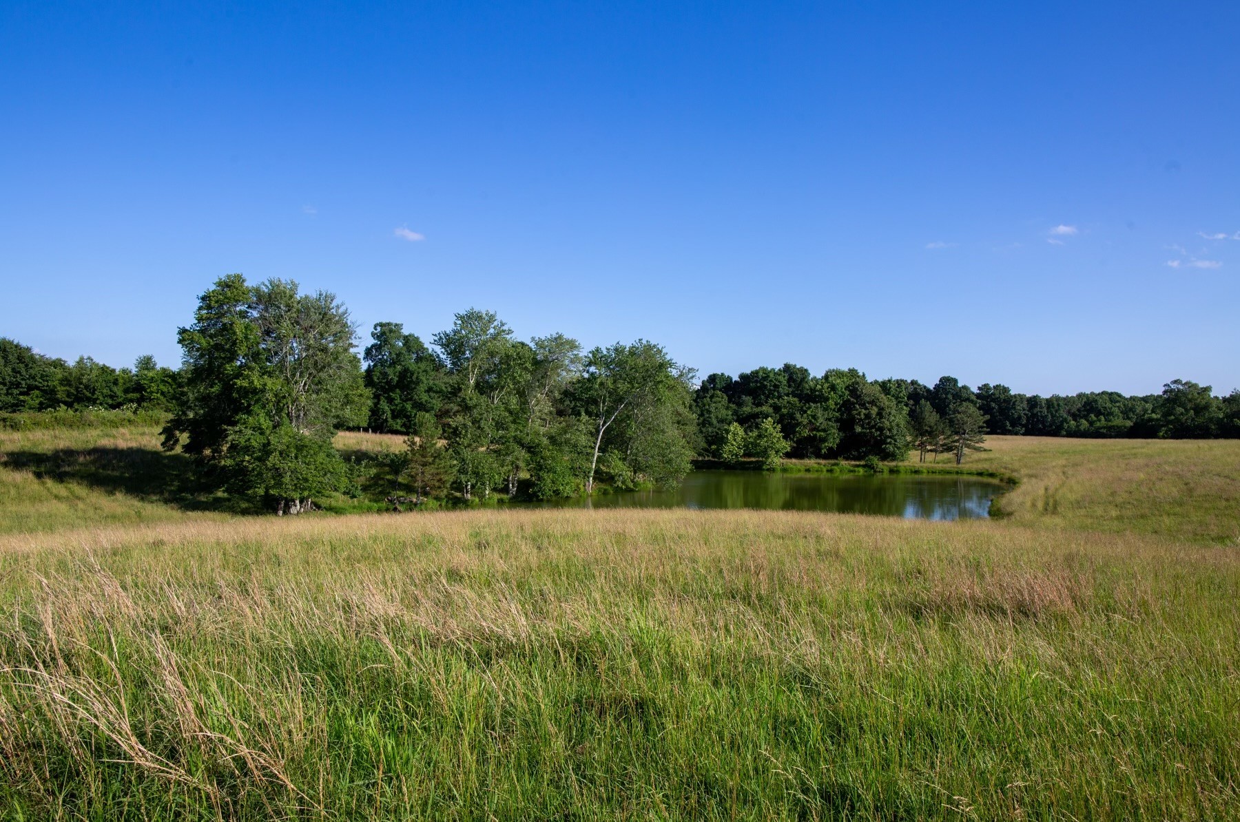 3894 Muckle Branch Road Ethridge, TN 38456 - Photo 64 of 64 Gallery Image 64