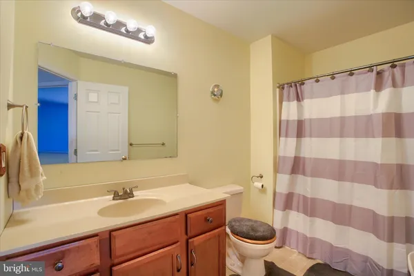 a bathroom with a sink a toilet a mirror and shower curtain