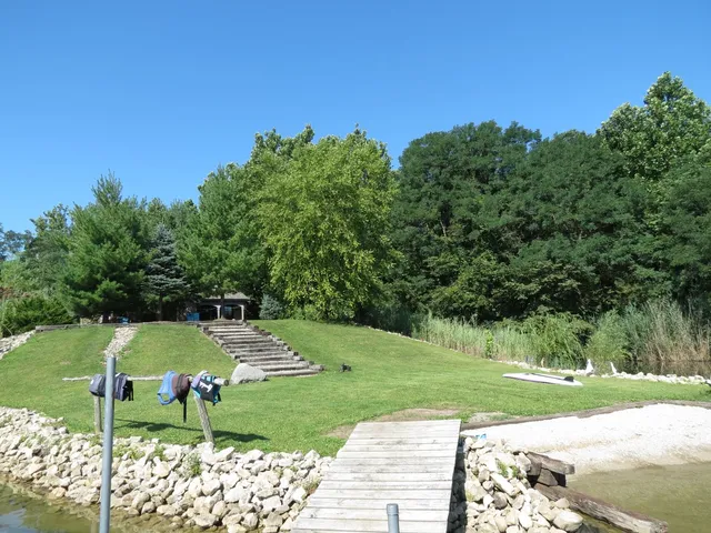 a view of a park with large trees