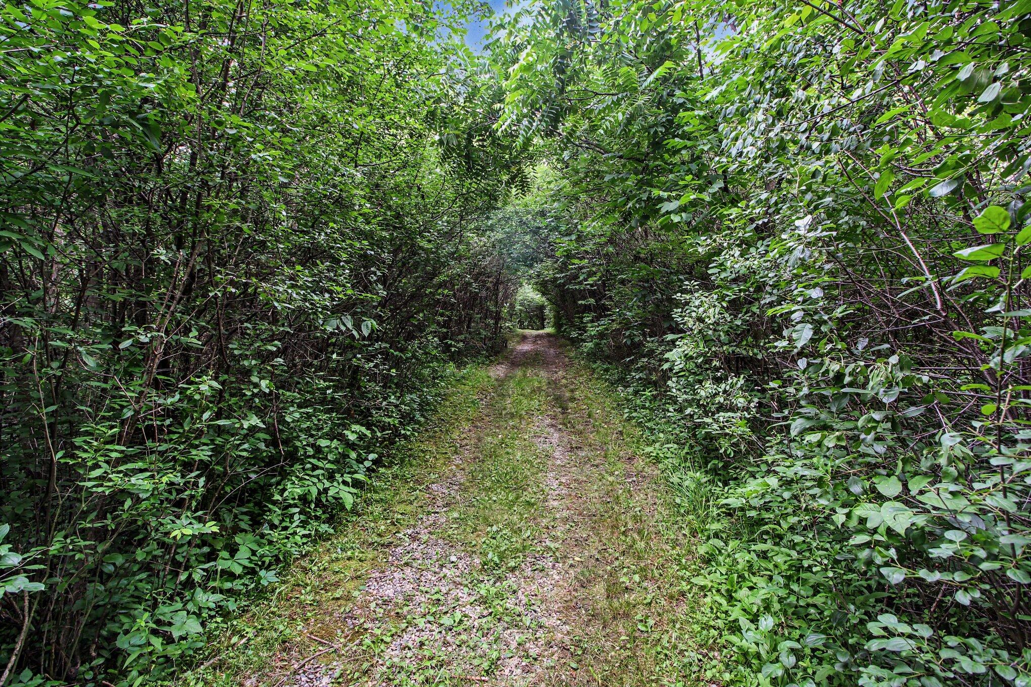 2736 South Wagner Road Ann Arbor, MI 48103 - Photo 77 of 91 075_file_3604
