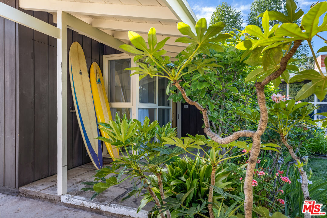 11368 Berwick Street Los Angeles, CA 90049 - Photo 20 of 31 a plant that is in front of a door
