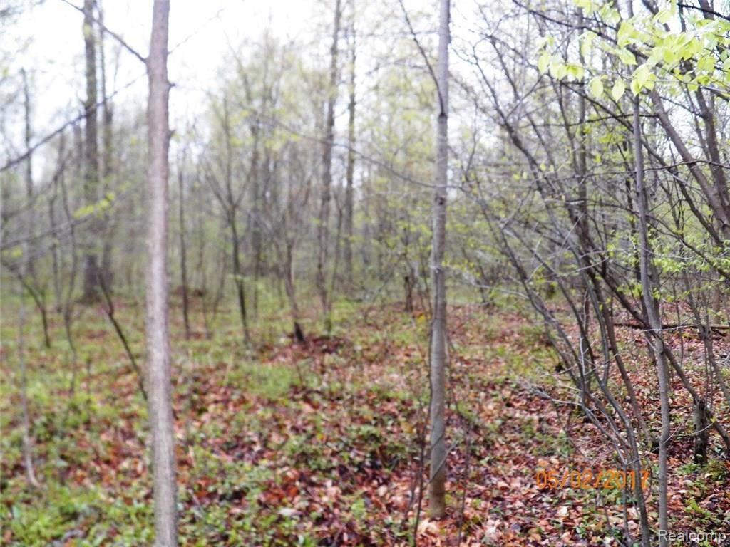 0 Cumber Road Ubly, MI 48475 - Photo 3 of 11