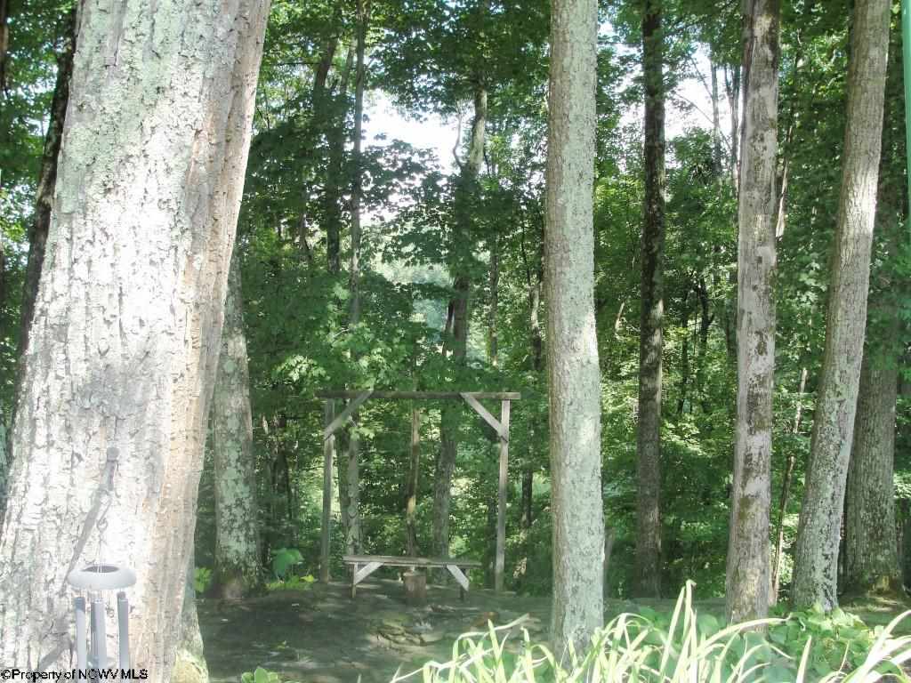2912 Mount Union Road Buckhannon, WV 26201 - Photo 4 of 18 Gallery Image 4