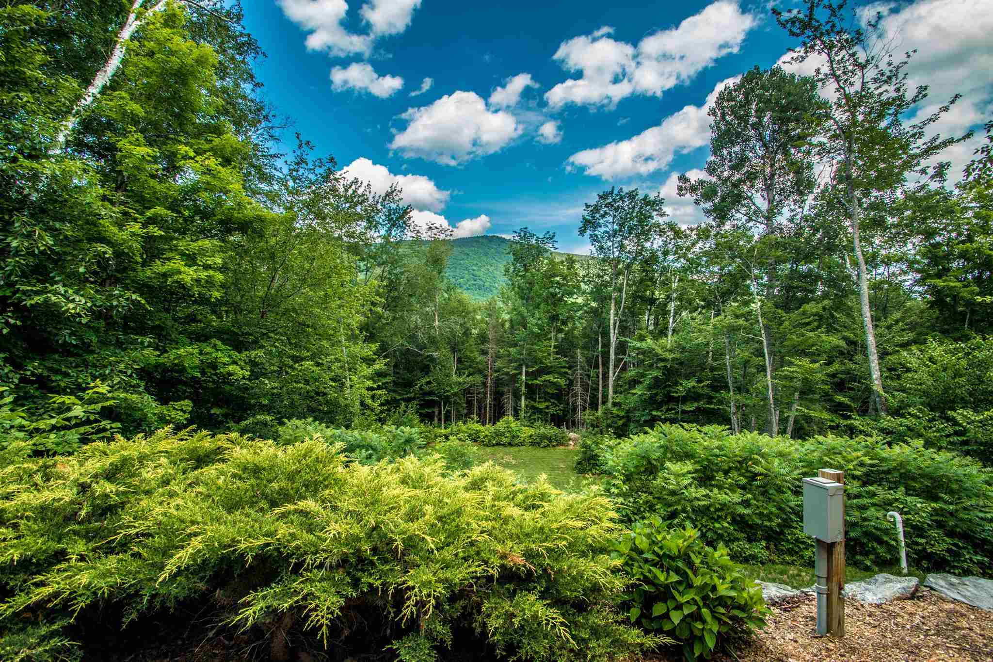 553 Carter Notch Road Jackson, NH 03846 - Photo 31 of 39 Gallery Image 31