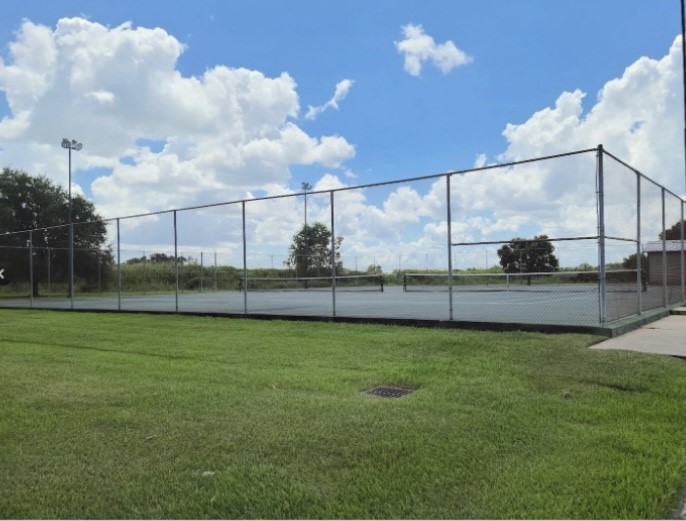 498 Brahman Trail Angleton, TX 77515 - Photo 8 of 11 a view of a back yard