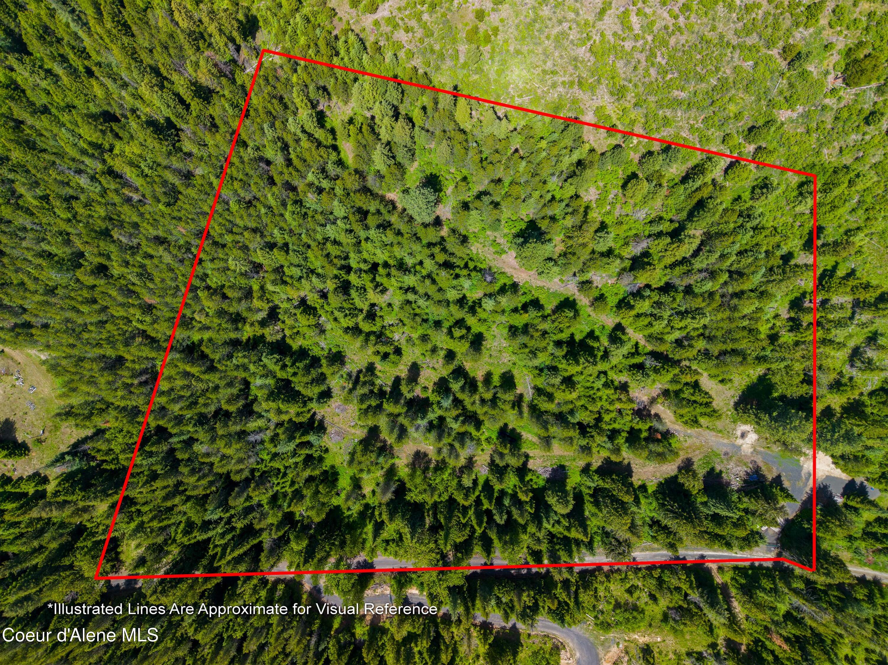 1314 Finn Creek Road Fernwood, ID 83830 - Photo 15 of 23 June 11 2026 (8 of 20) Outlined