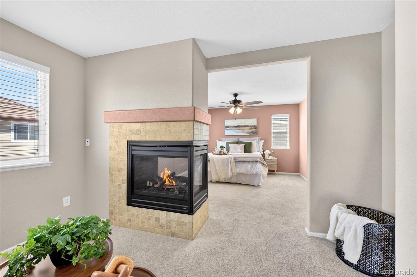 785 Diamond Rim Drive Colorado Springs, CO 80921 - Photo 21 of 34 Gallery Image 21