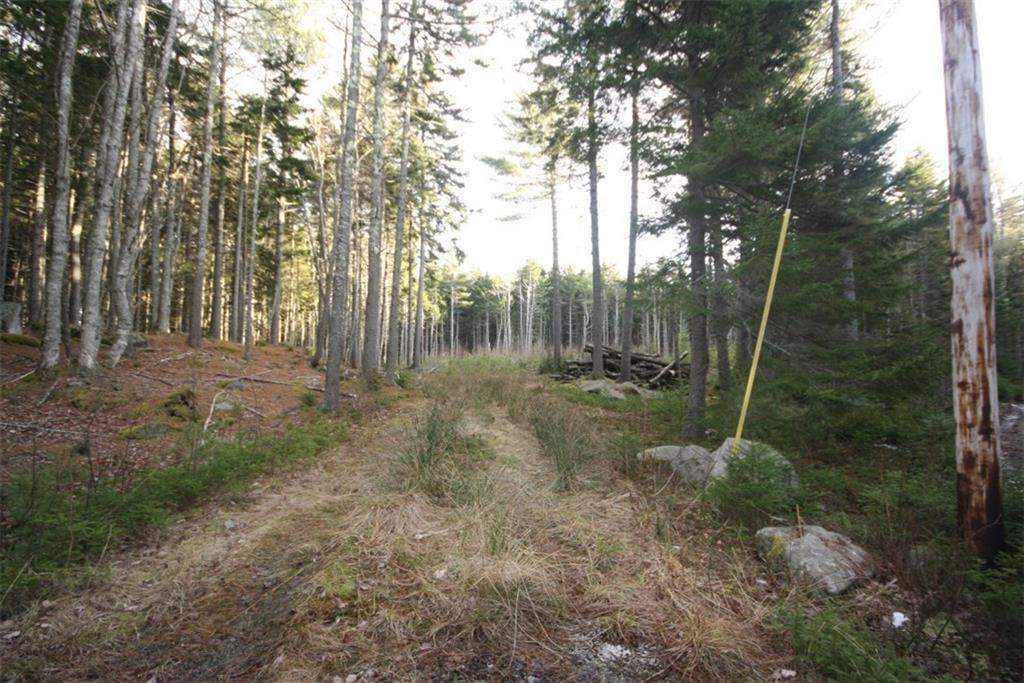0 Stowaway Road Southport, ME 04576 - Photo 4 of 4 Low taxes - perfect spot to build...