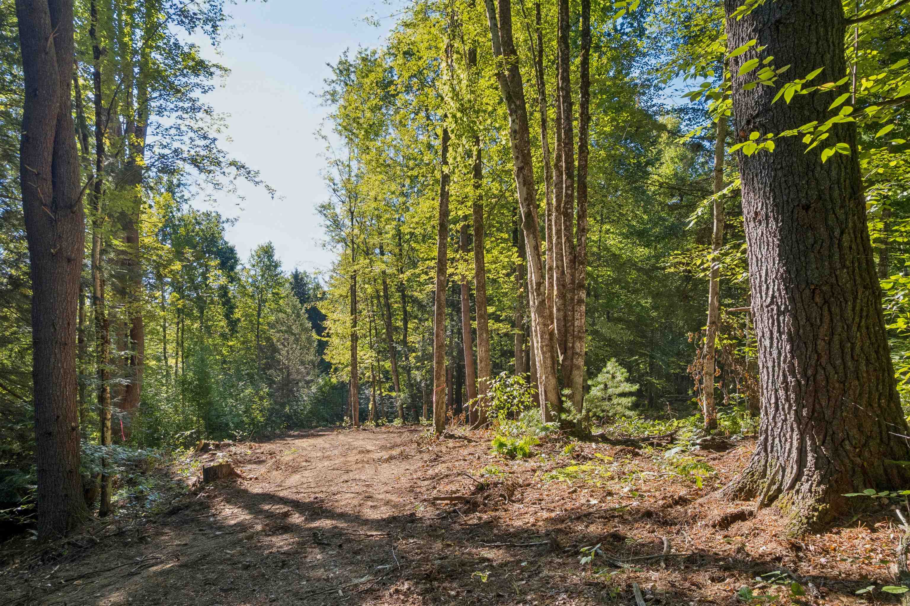 0 Charlestown Road, Unit LOT C: GOLDFINCH CORNER Springfield, VT 05156 - Photo 1 of 15 Gallery Image 1