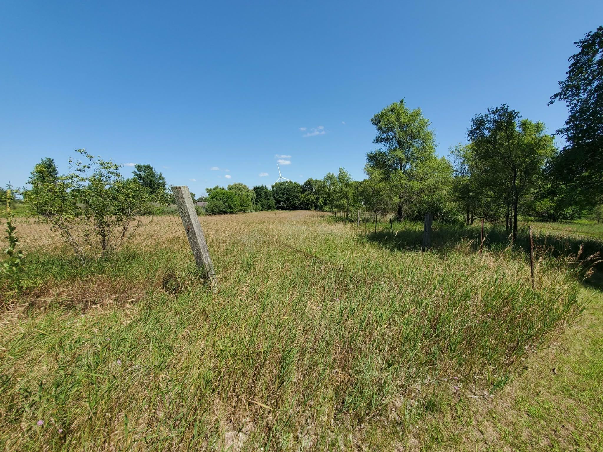 North Ransom Road Breckenridge, MI 48662 - Photo 4 of 27