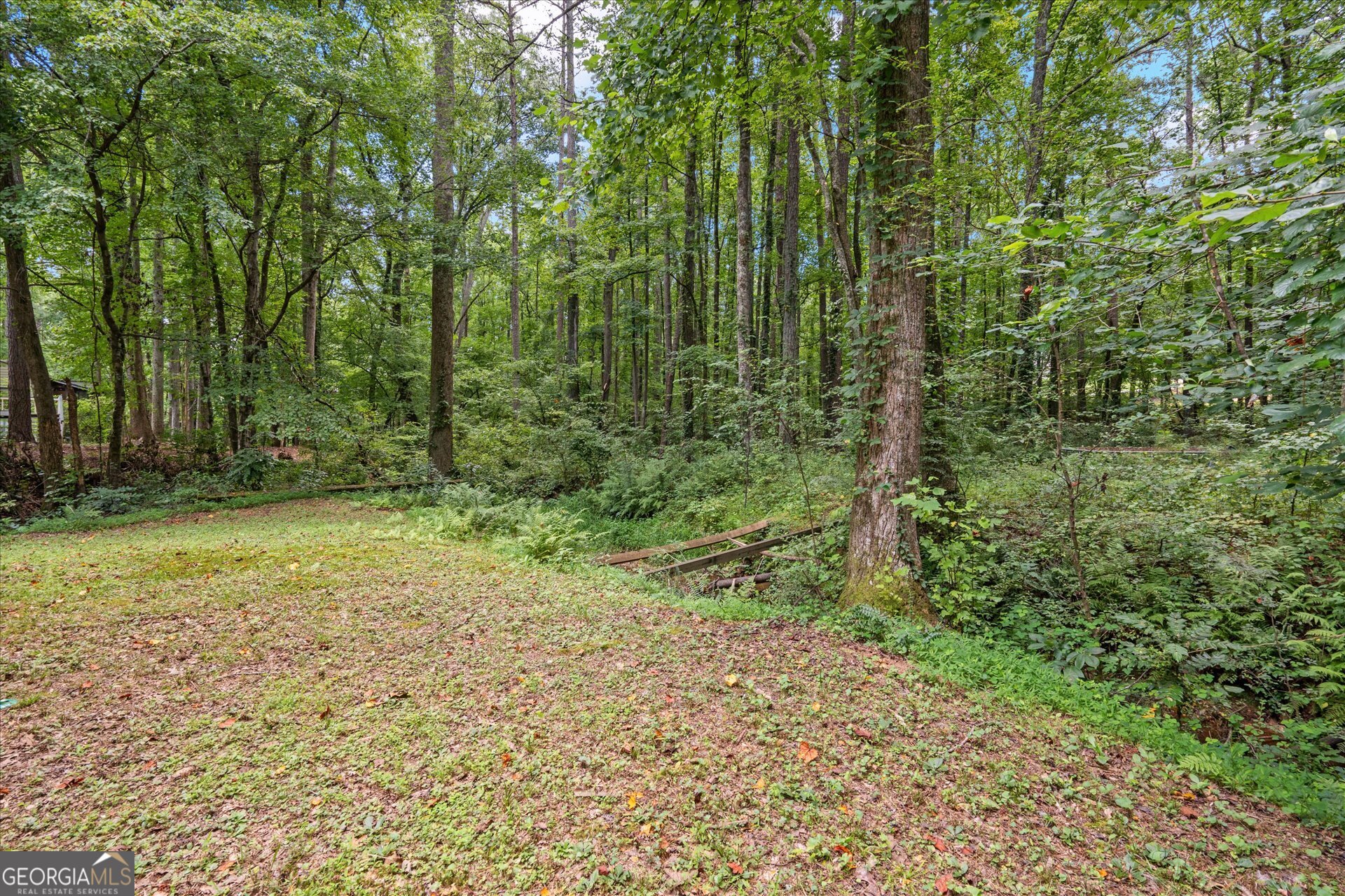 1217 Monticello Drive Villa Rica, GA 30180 - Photo 25 of 36 a view of outdoor space and green space