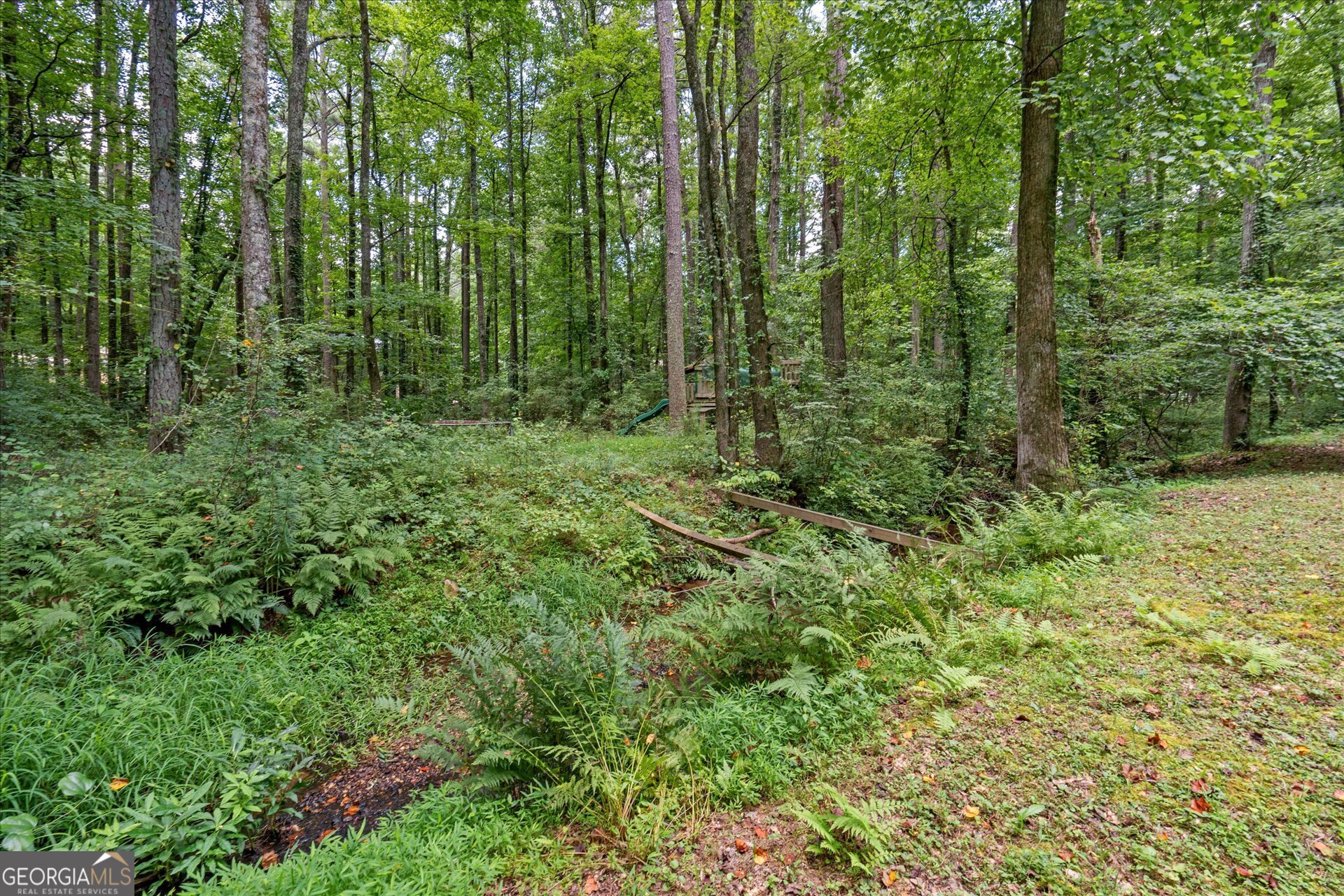 1217 Monticello Drive Villa Rica, GA 30180 - Photo 26 of 36 a view of outdoor space and green space