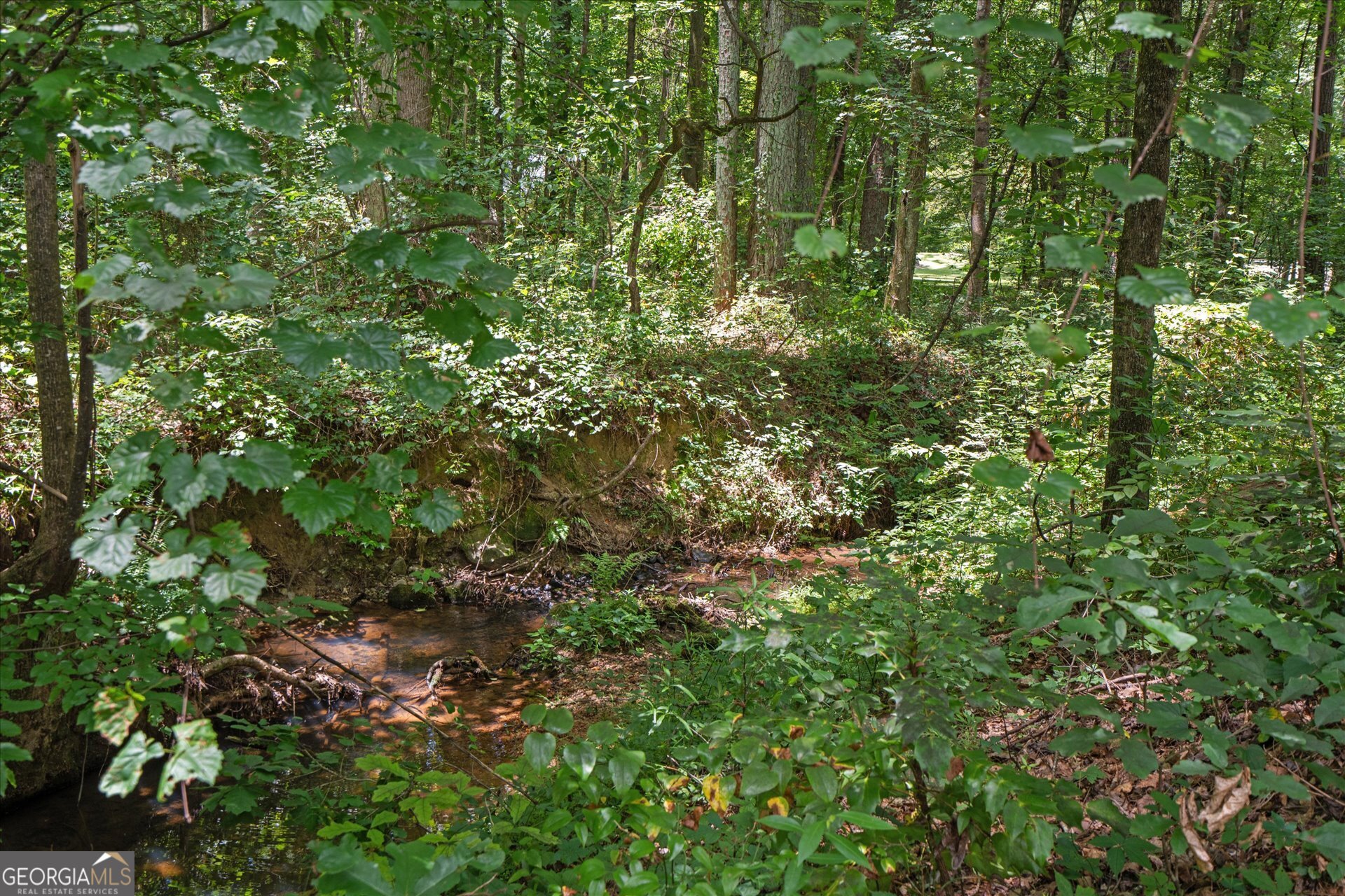 1217 Monticello Drive Villa Rica, GA 30180 - Photo 27 of 36 a view of a lush green forest