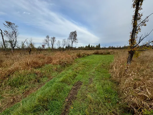 $294,000 | Lt1234 Lt1234 State Road, Pine River, WI 54965