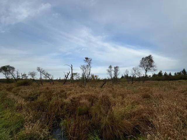 $294,000 | Lt1234 Lt1234 State Road, Pine River, WI 54965