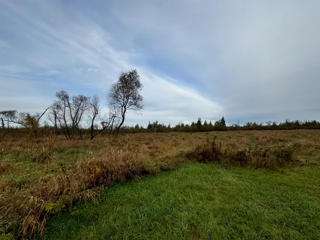 $294,000 | Lt1234 Lt1234 State Road, Pine River, WI 54965